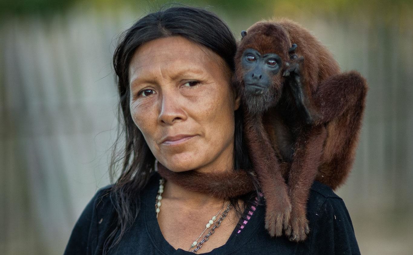 National Geographic exibe campanha de alerta contra febre amarela, para proteção de macacos