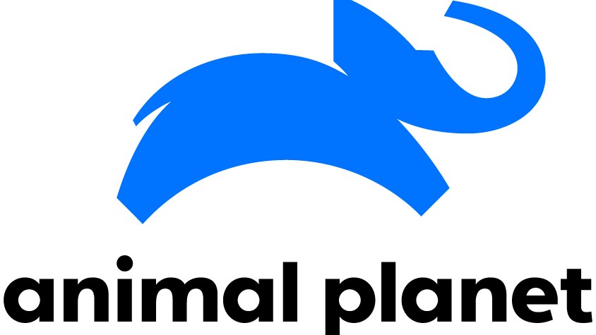 Animal Planet lança nova identidade visual