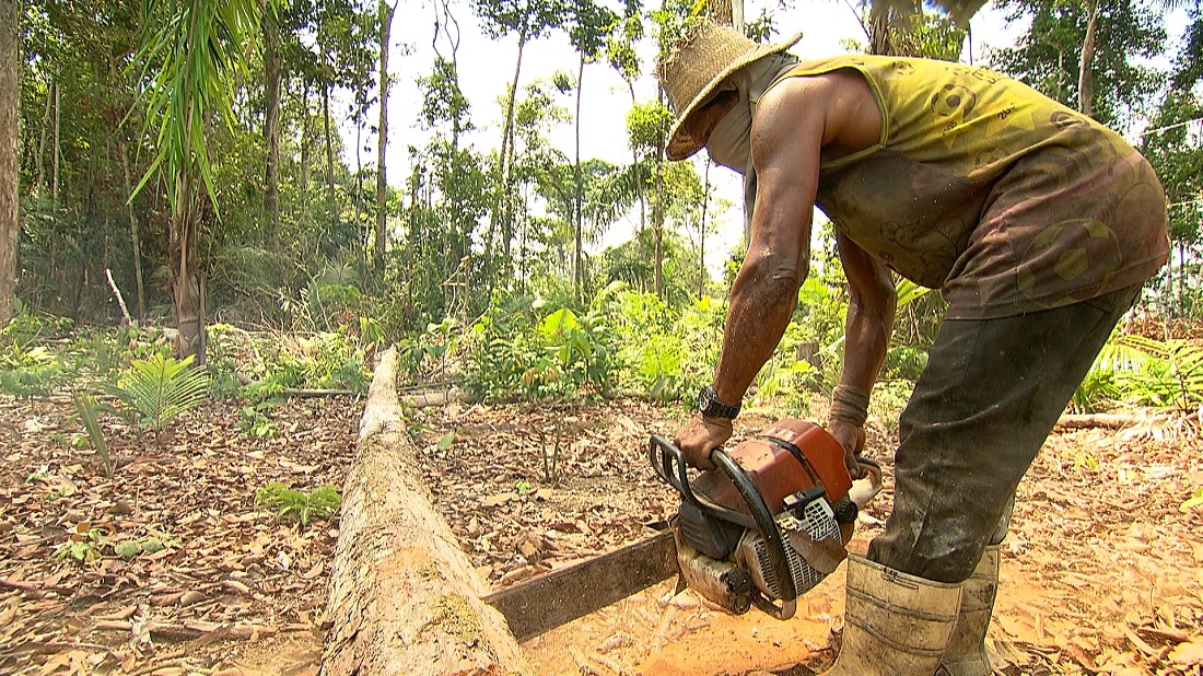 Câmera Record ganha prêmio com reportagem Carvoarias, A Amazônia em Chamas