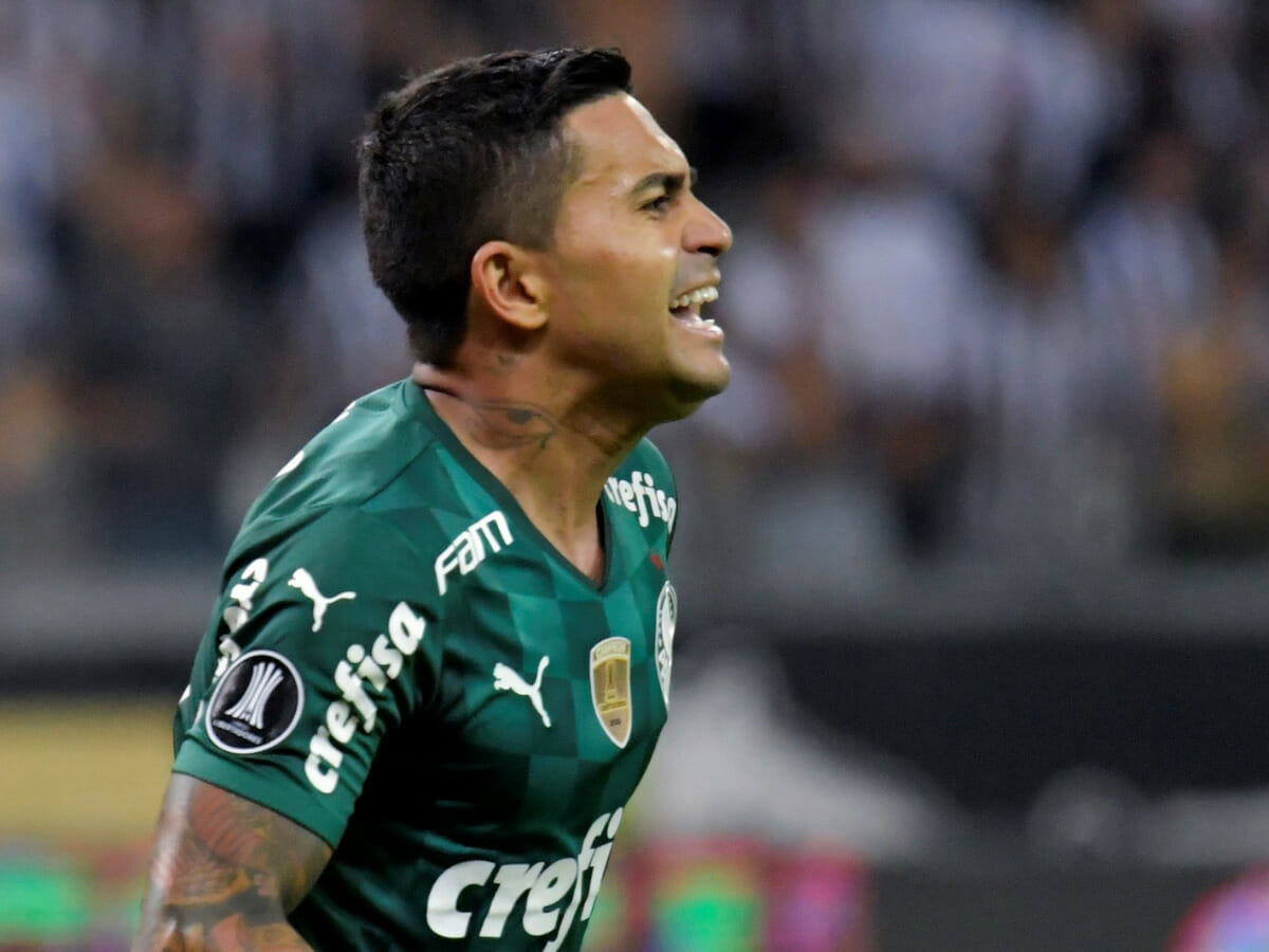 Palmeiras está na final da Libertadores (Reprodução)